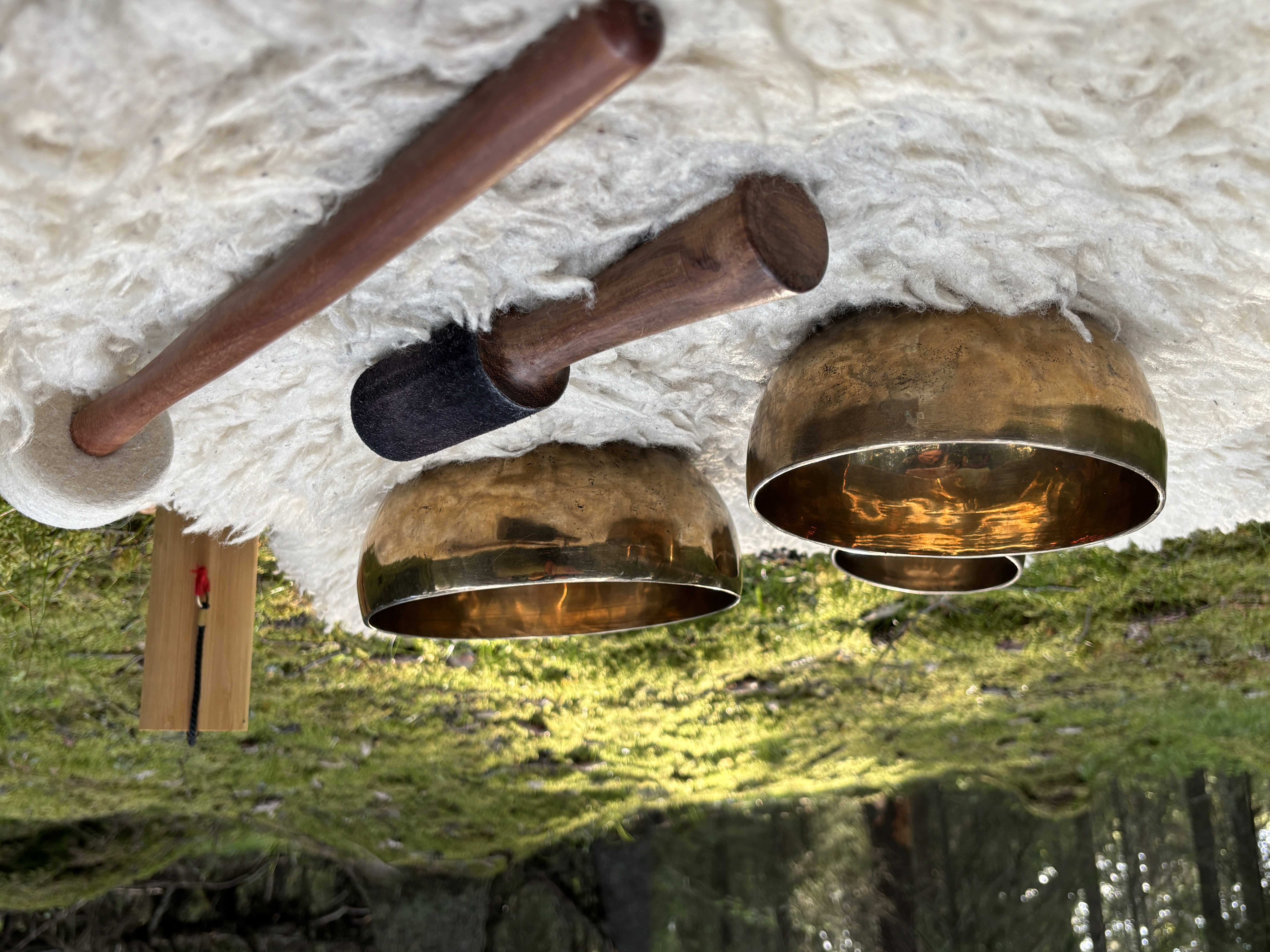 Tervetuloa Unelmakulman lempeään maailmaanin otsikkokuva